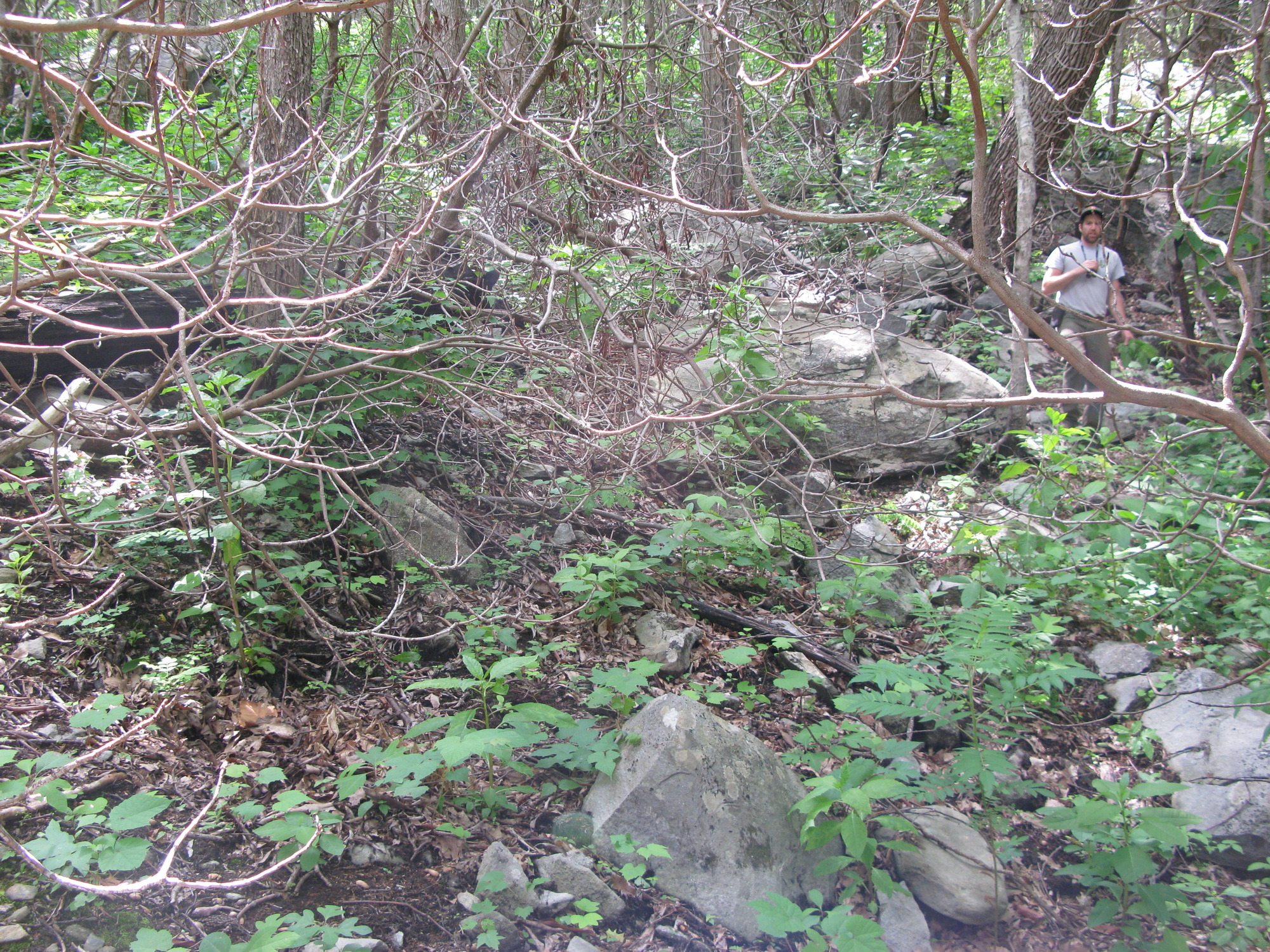 GRSM Accuracy Assessment. Plot Code: GRSM_AA_0399