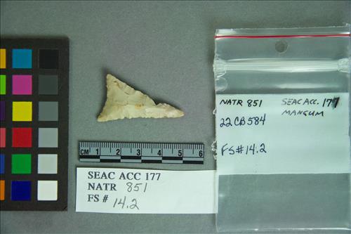 NATR  851 -- Late Woodland / Mississippi Triangular Cluster PP/K