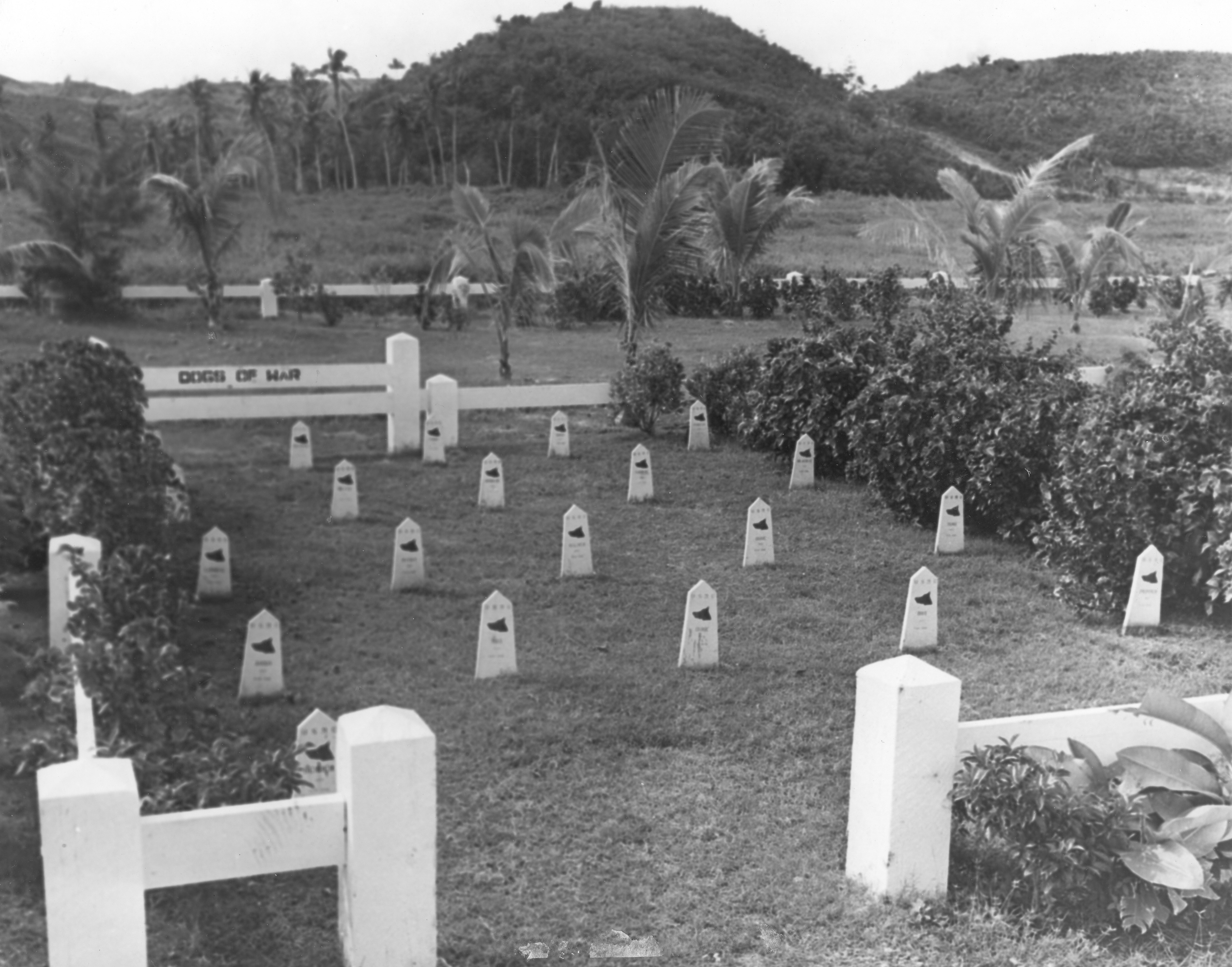 Twenty headstones with the silhouette of a Doberman pinscher’s head on them are enclosed in a white fence. The background is a lush tropical scene. The back fence is labelled Dogs of War.
