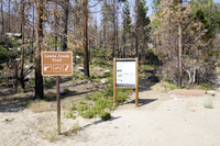 A brown sign with No Guns, No Bicycles, and No pets stands in front of a Grey informational panel  . The informational panel sits in a wooden frame. Behind both of them is a dirt path that runs by burned out pine trees. 