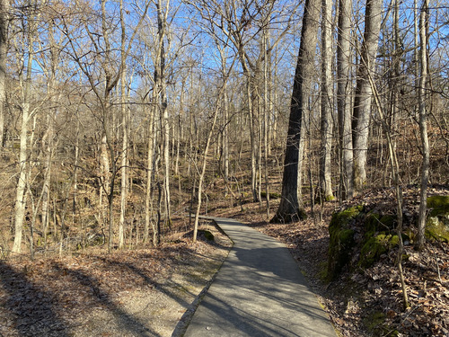 A paved trail leads through the forest. 
