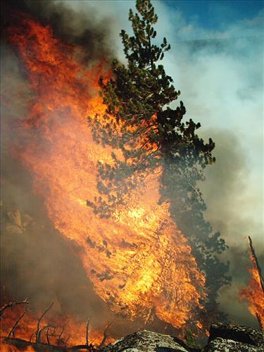 Hot Springs wildfire, Sequoia and Kings Canyon National Parks, summer 2004
