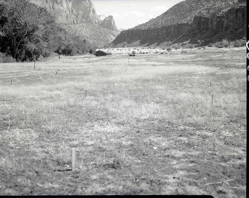 General view of Watchman Housing Area before construction.