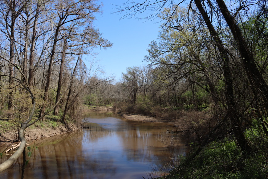 A calm creek flowing past mostly leafless trees in early spring on a sunny day.