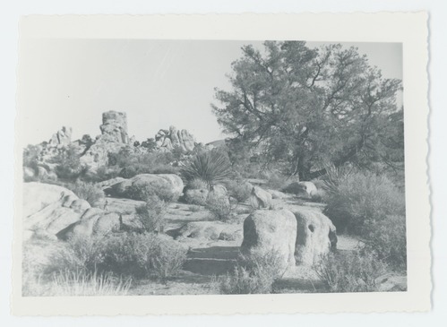 Black and white image of Hidden Valley