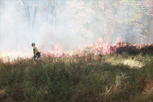 Crews using drip torches to ignite El Capitan prescribed burn, 2000, Yosemite National Park