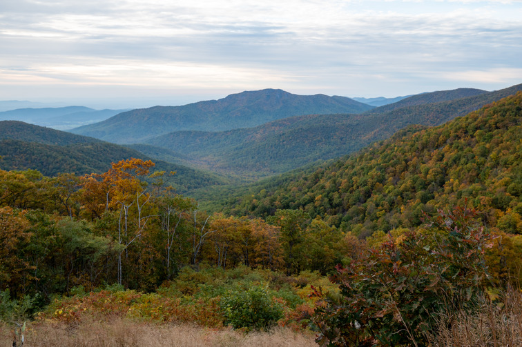 Fall scenic shot from Pinnacles Overlook. Old Rag Mountain is in the background.
