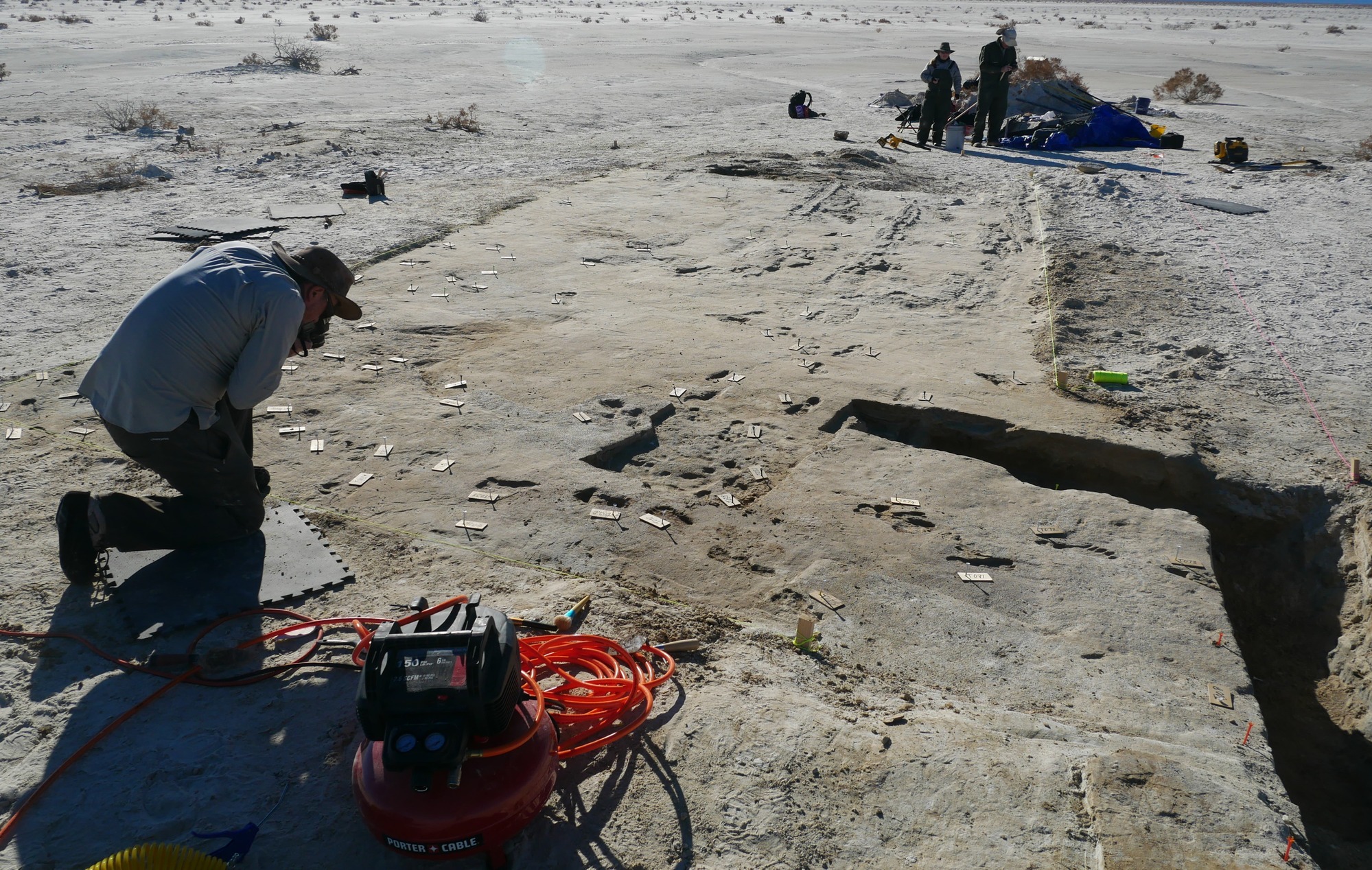 A researcher kneels down next to a portion of human footprint tracks. The reseracher takes photos of each individually marked footprint. There are two reserachers in the distance prepping for additional documentation. 