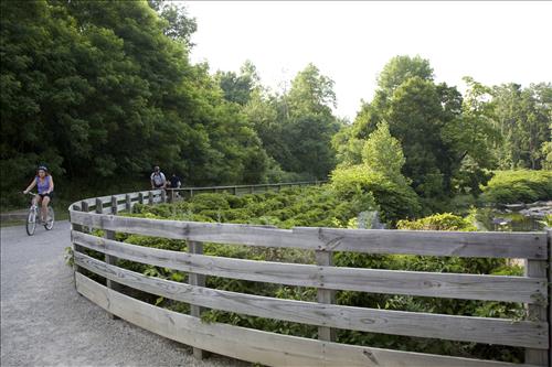 Get Up, Get Out, Go! biking