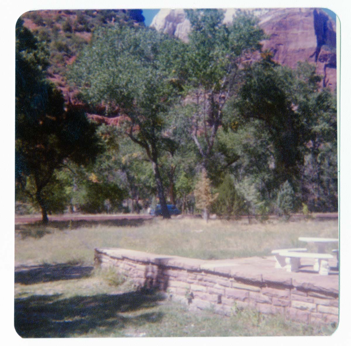 The grounds around the Zion Lodge.