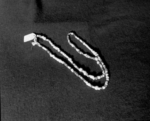 Marie Rozier Collection, Catalog No. 55. Object: Trade beads. Dimensions: 30". Materials: Opaque white glass paste beads, Cornaline d'aleppo and blue glass beads. Collection History: Found at La Grange Dam after a rain at a Native American burial ground. Gift of Madeline Poe. Photographed by Michael Dixon in December 1982. Catalogued by Craig Bates and Barbara Beroza. Yosemite Collections, National Park Service.