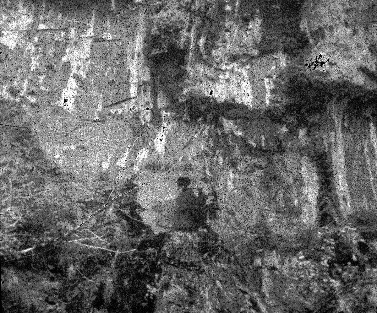 Scaffolding construction and use at the Temple of Sinawava during a spring project.