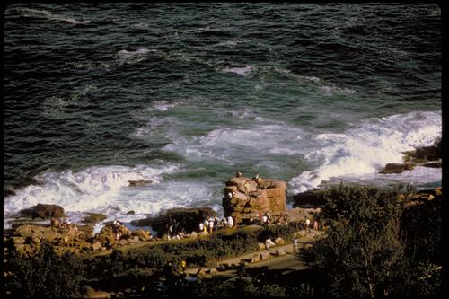 Acadia National Park, Maine