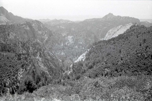 BW photo of the 1937 grazing study 35MM.