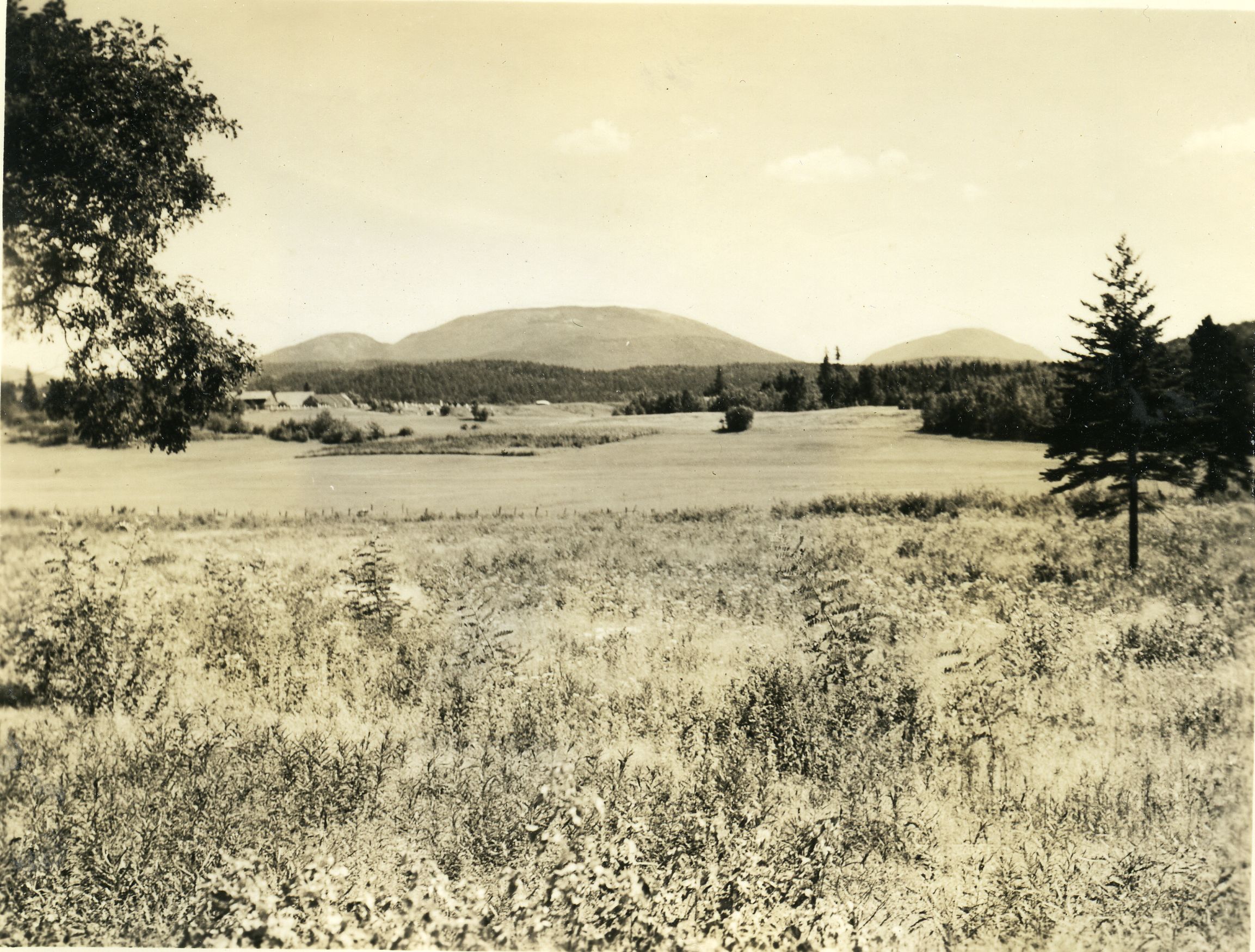 CADILLAC AND PEMETIC MOUNTAINS