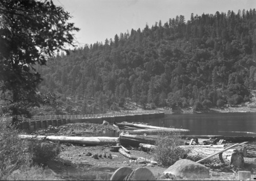Logs & debris at spillway of Lake Eleanor.