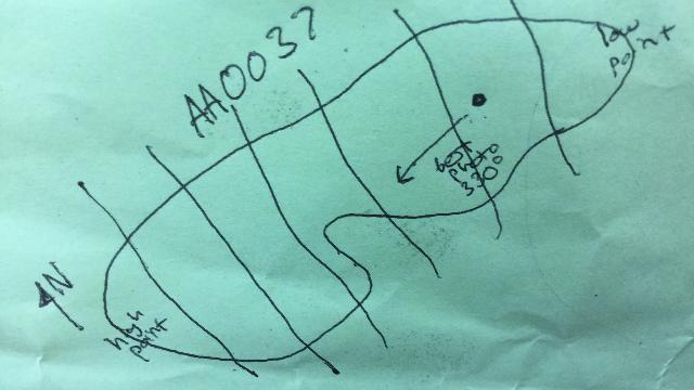 GRSM Accuracy Assessment. Plot Code: GRSM_AA_0037_map