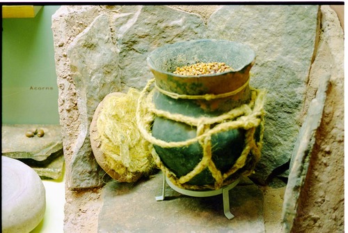 Color photos of prehistoric jar (North Creek Gray) display.