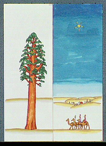 Split screen with a taller Giant Sequoia tree and the three wise men showing a time line of growth.
