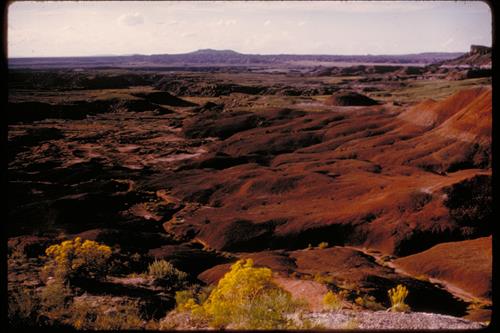 Painted Desert Views at Petrified Forest National Park, Arizona