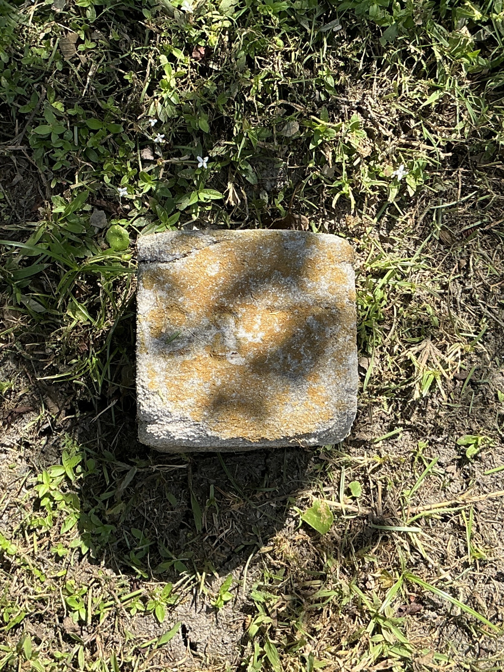 Top of flat marble marker