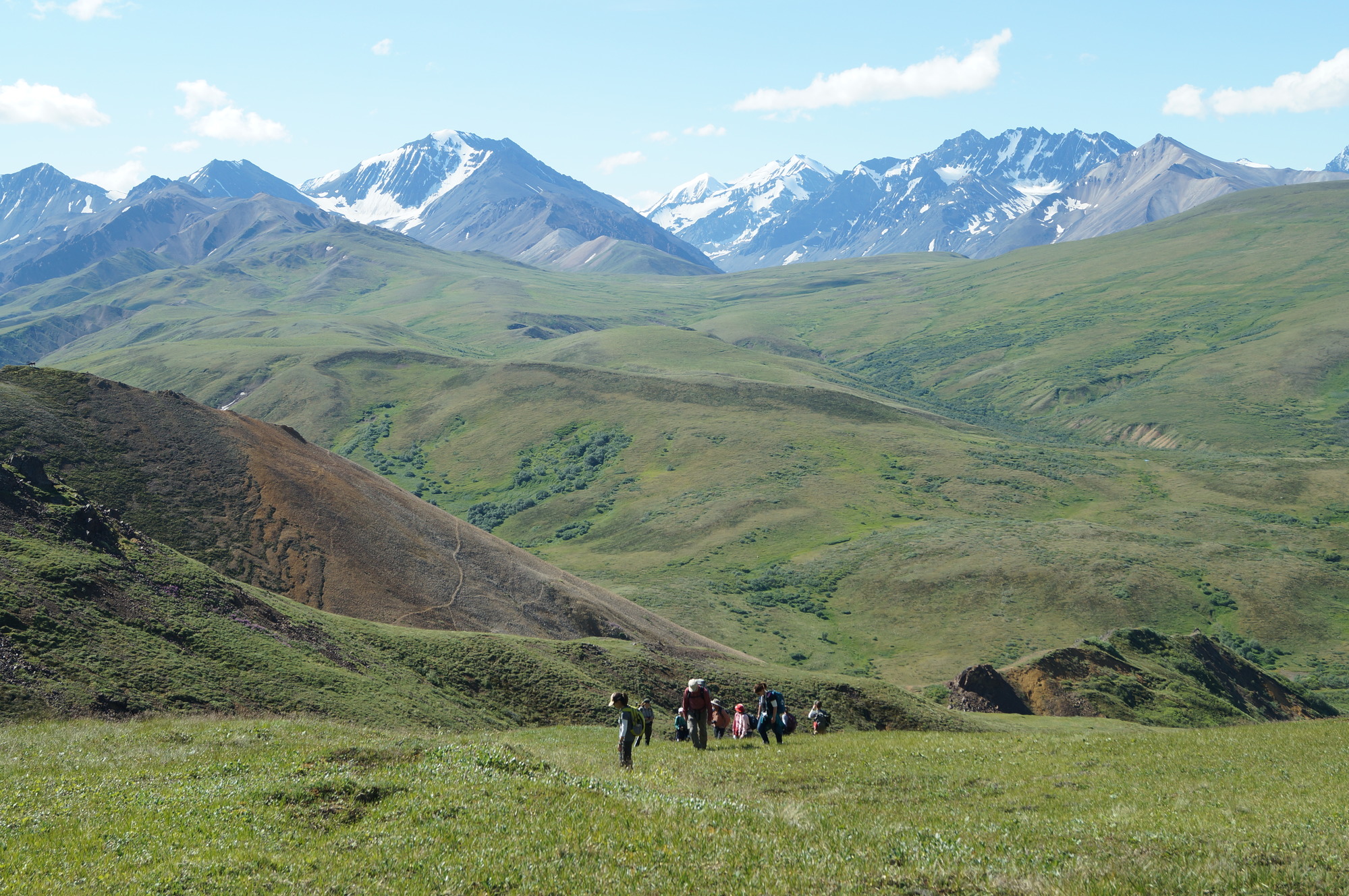 group of people hiking across an alpine meadow