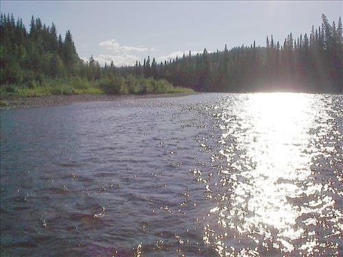 Charley River Water Quality Testing, Yukon-Charley Rivers, 2003 8