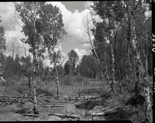 Rulon Langston land, 40 acres- section 13, T 39 S, R 10 W, SE 1/4 SE 1/4.