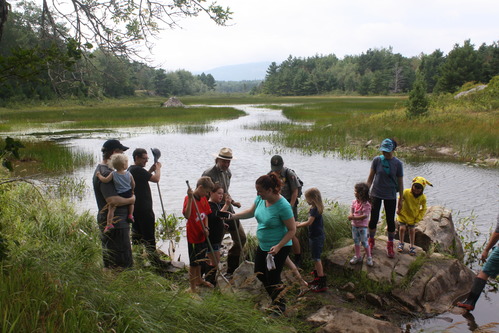 Dragonfly Mercury Project - Data Gathering at Acadia National Park.