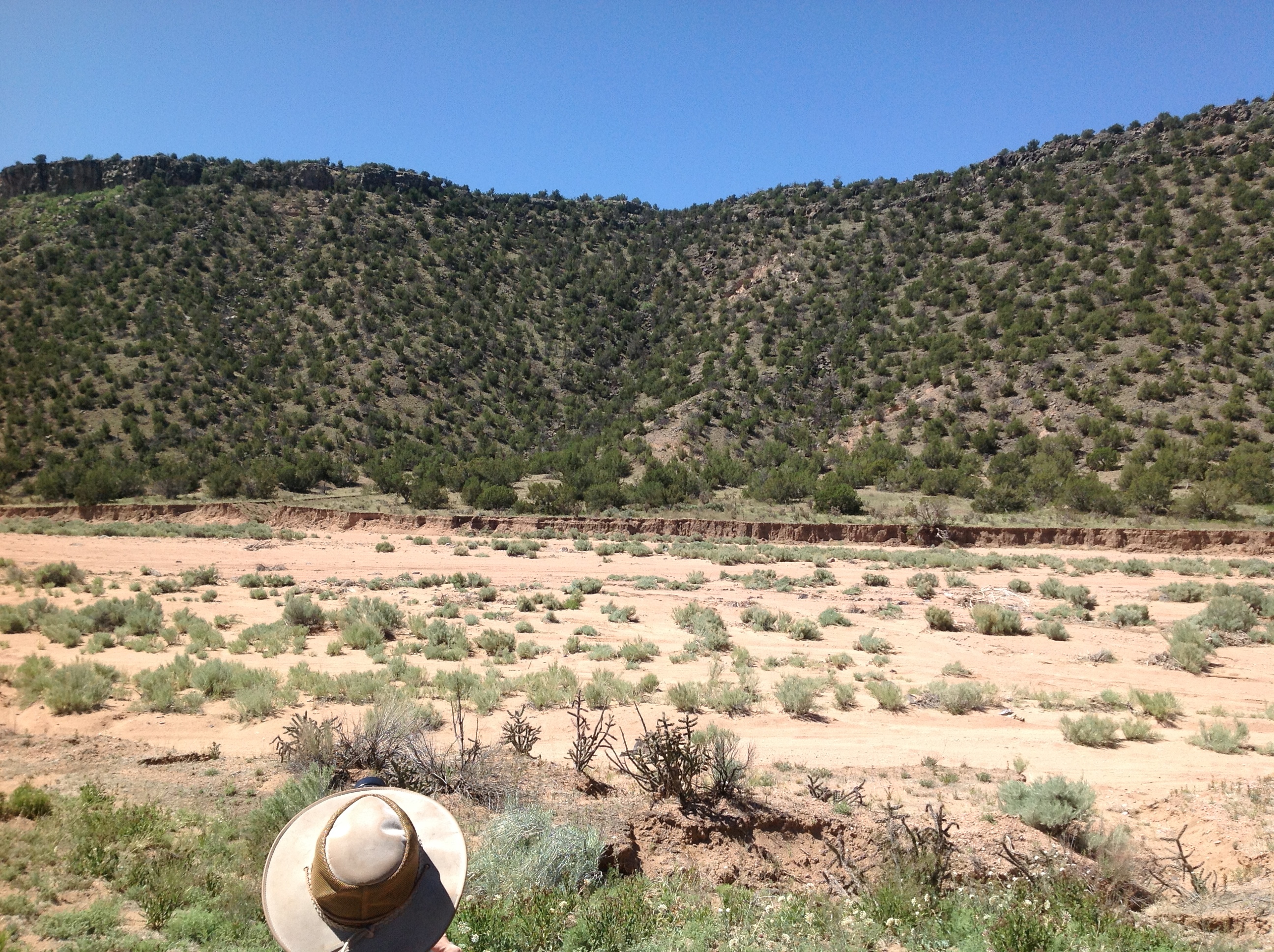 A person wearing a hat is standing on a dirt road.