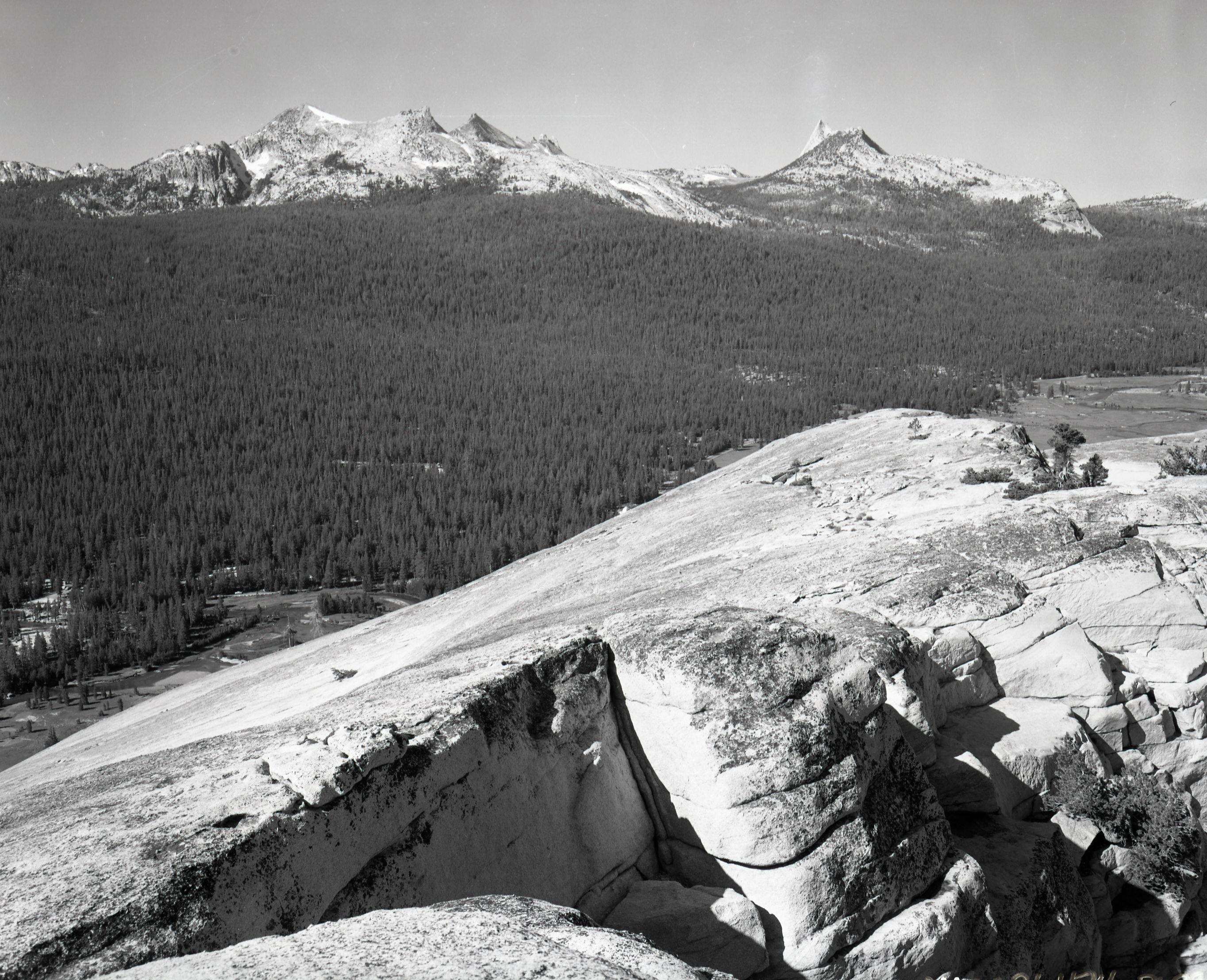Cathedral Range from Lembert Dome.