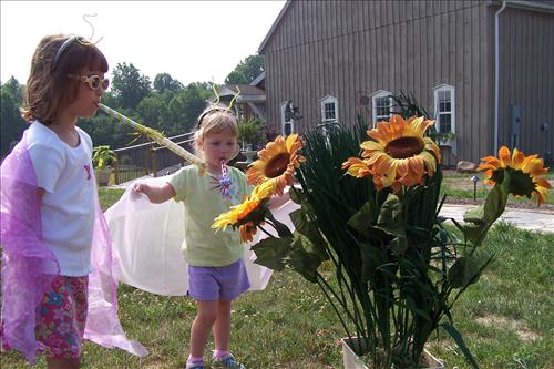 Junior Ranger, Butterfly's Breakfast, Activities