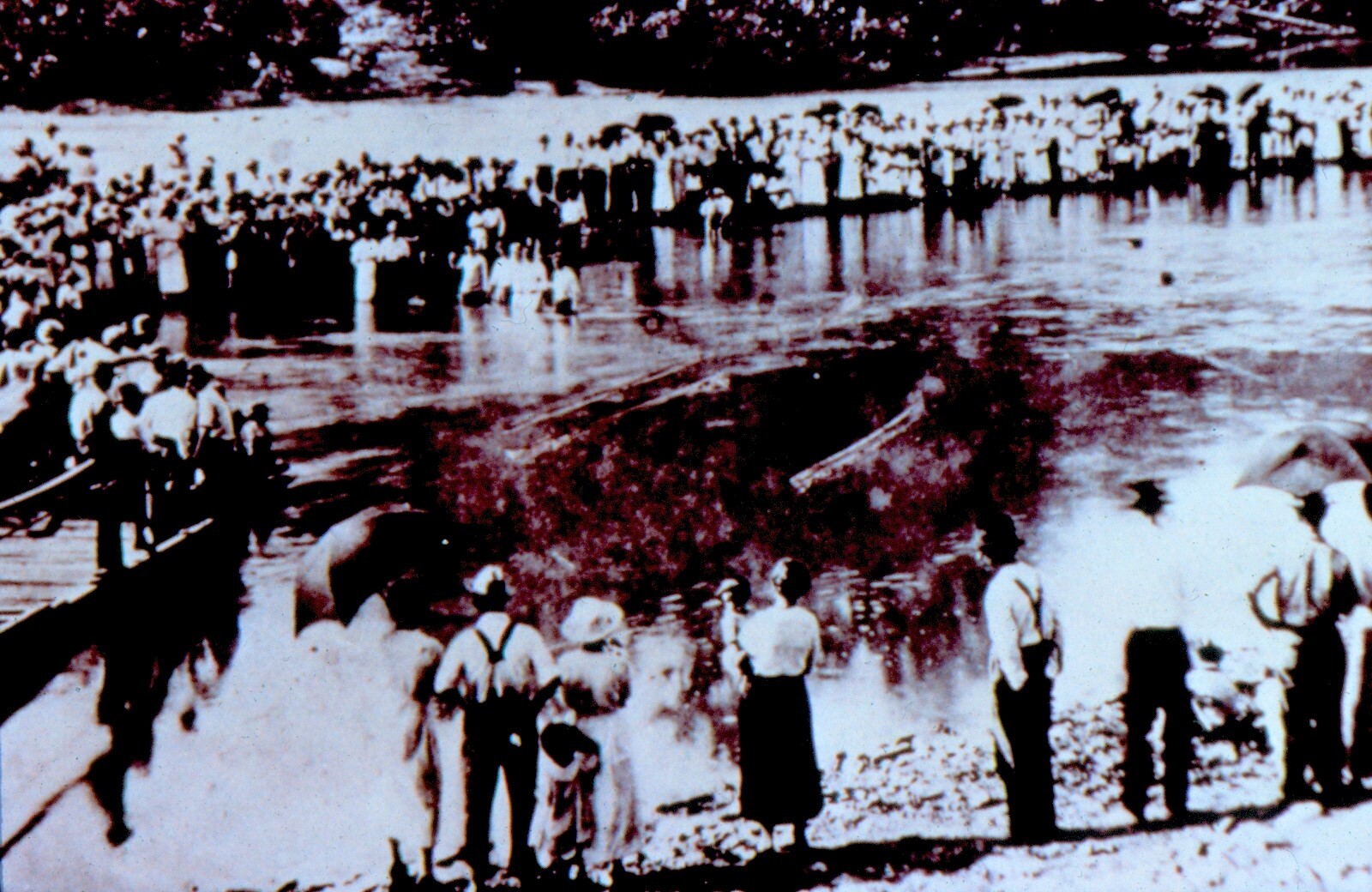 black and white photo of a single line of people on river bank in foreground and a crowd on the bank along top of picture.