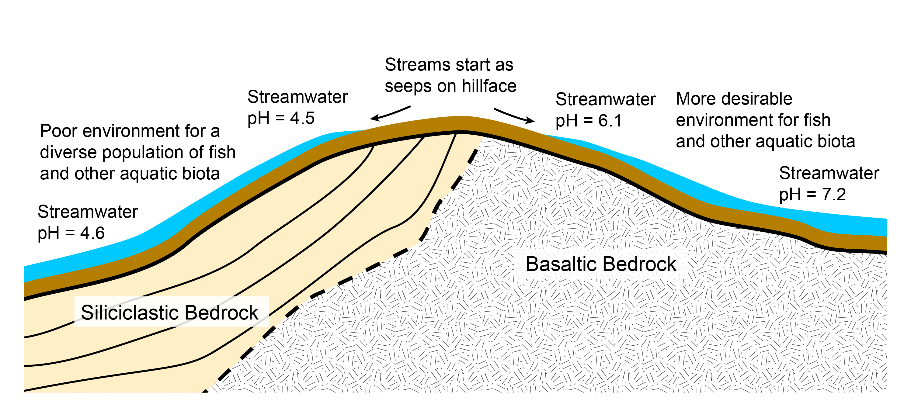 Diagram showing the relationship between slope, bedrock type, streamwater pH, and aquatic habitat.