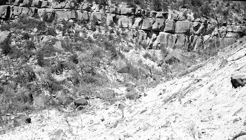 Rock fall in Birch Creek, near water intake system.