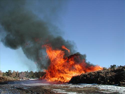 Brush pile burn as part of fuel reduction, Mesa Verde National Park, Jan. 2002