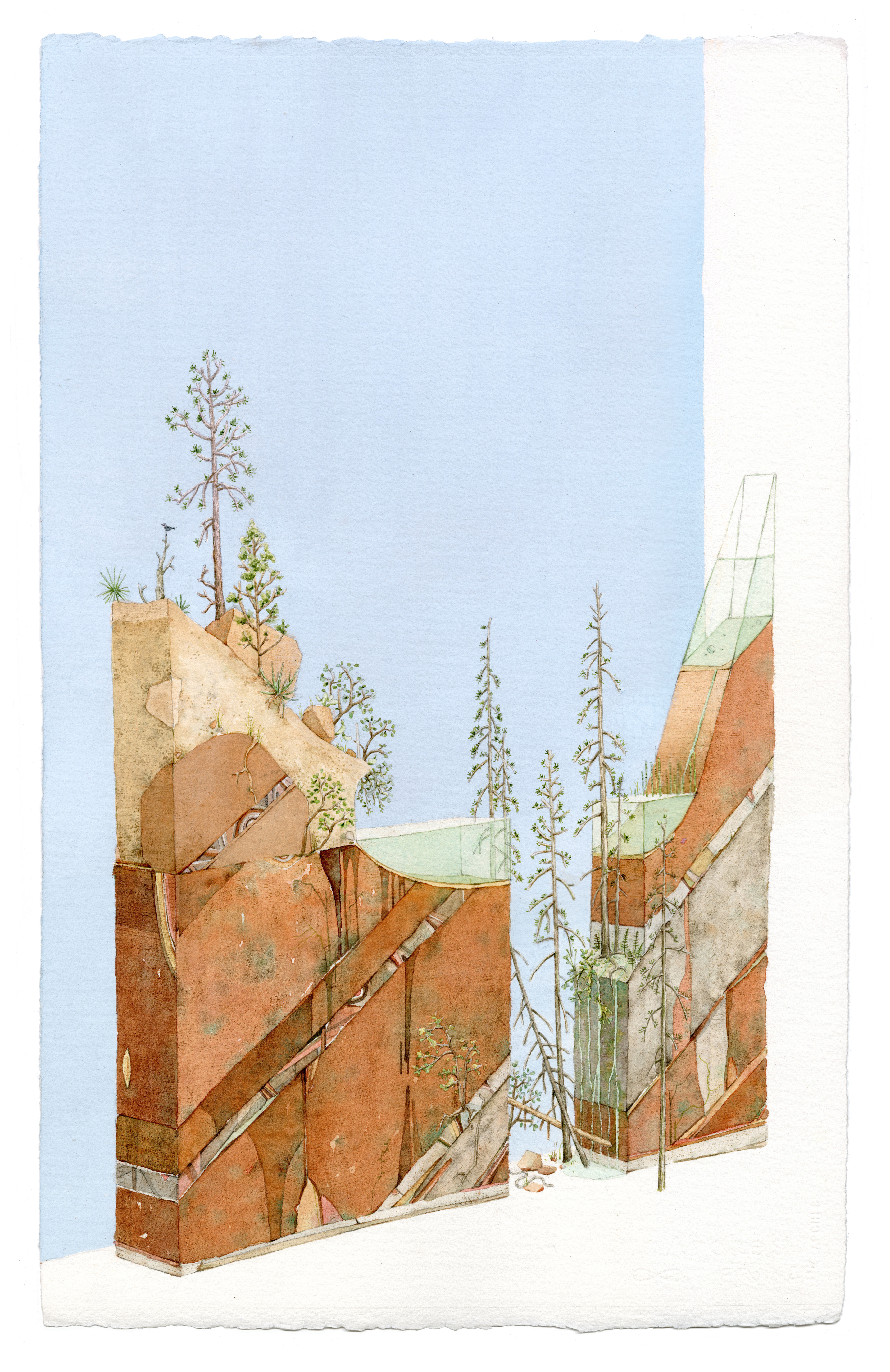 Watercolor painting of a cross-section of orange-red sandstone with tall, sparse pine trees along the top. The background is pale blue.