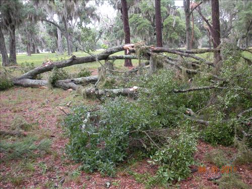 Storm Damage Fort Frederica National Monument 2011