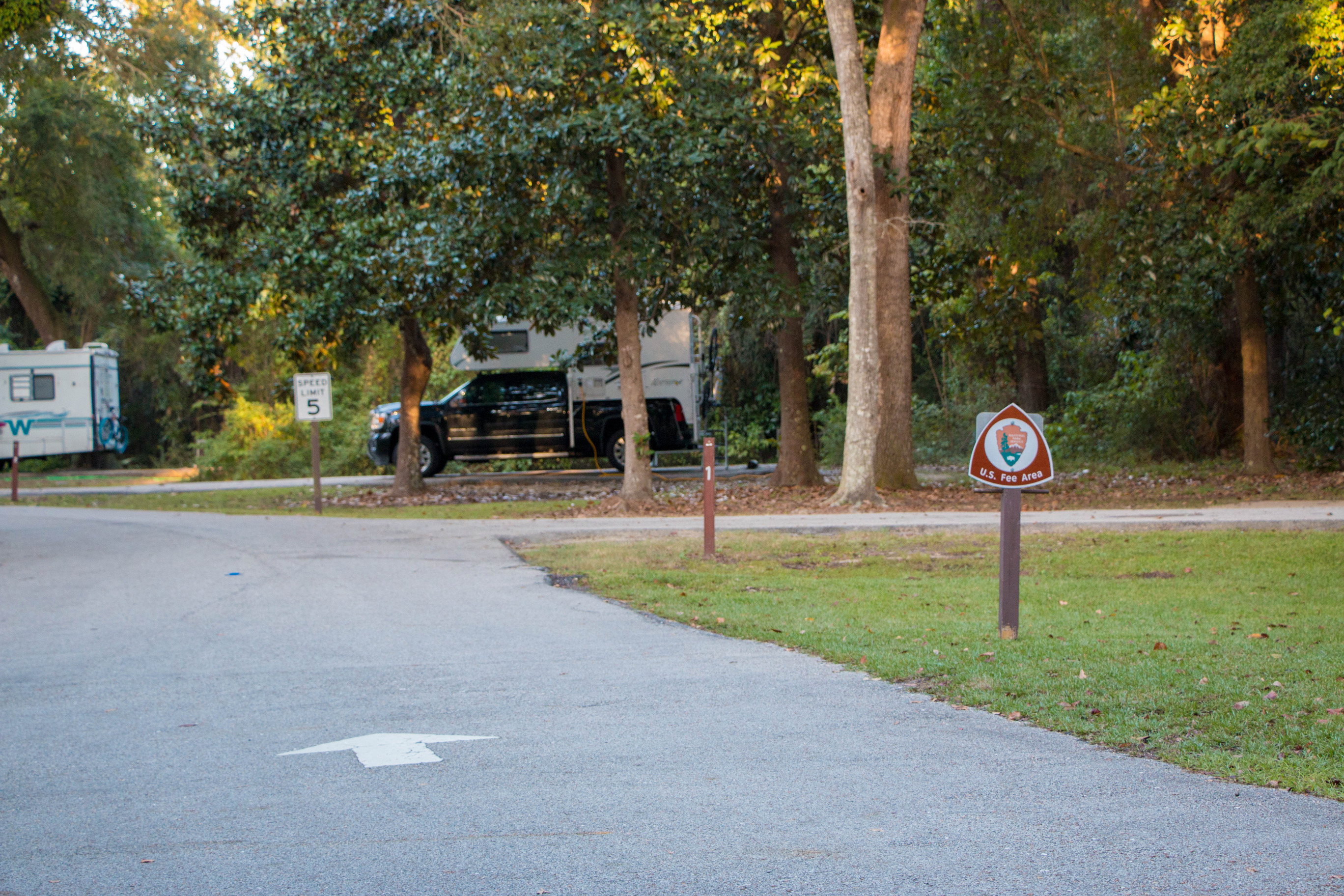Davis Bayou Campground 6