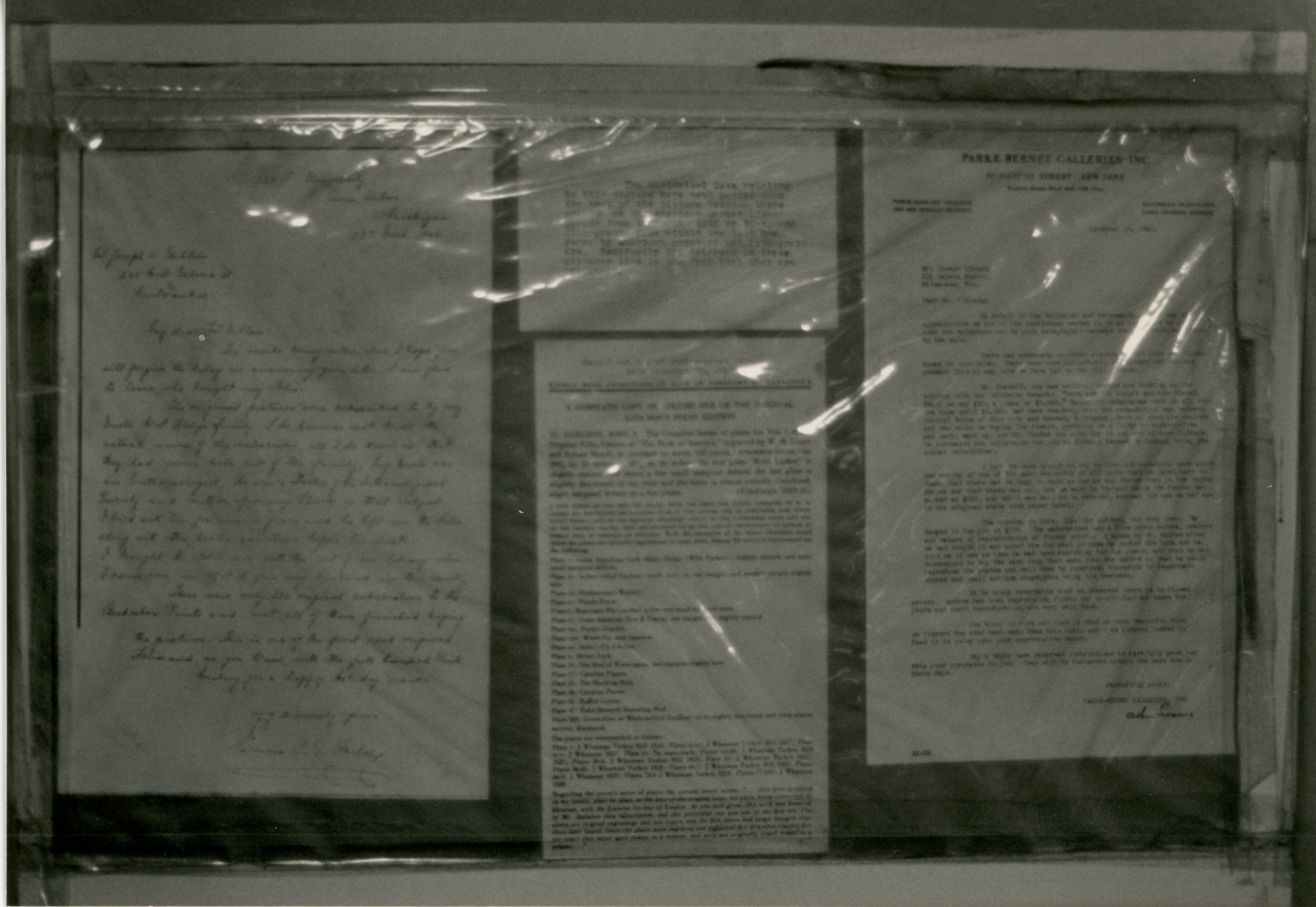 Historical data on back of Audbon Columbian Jay