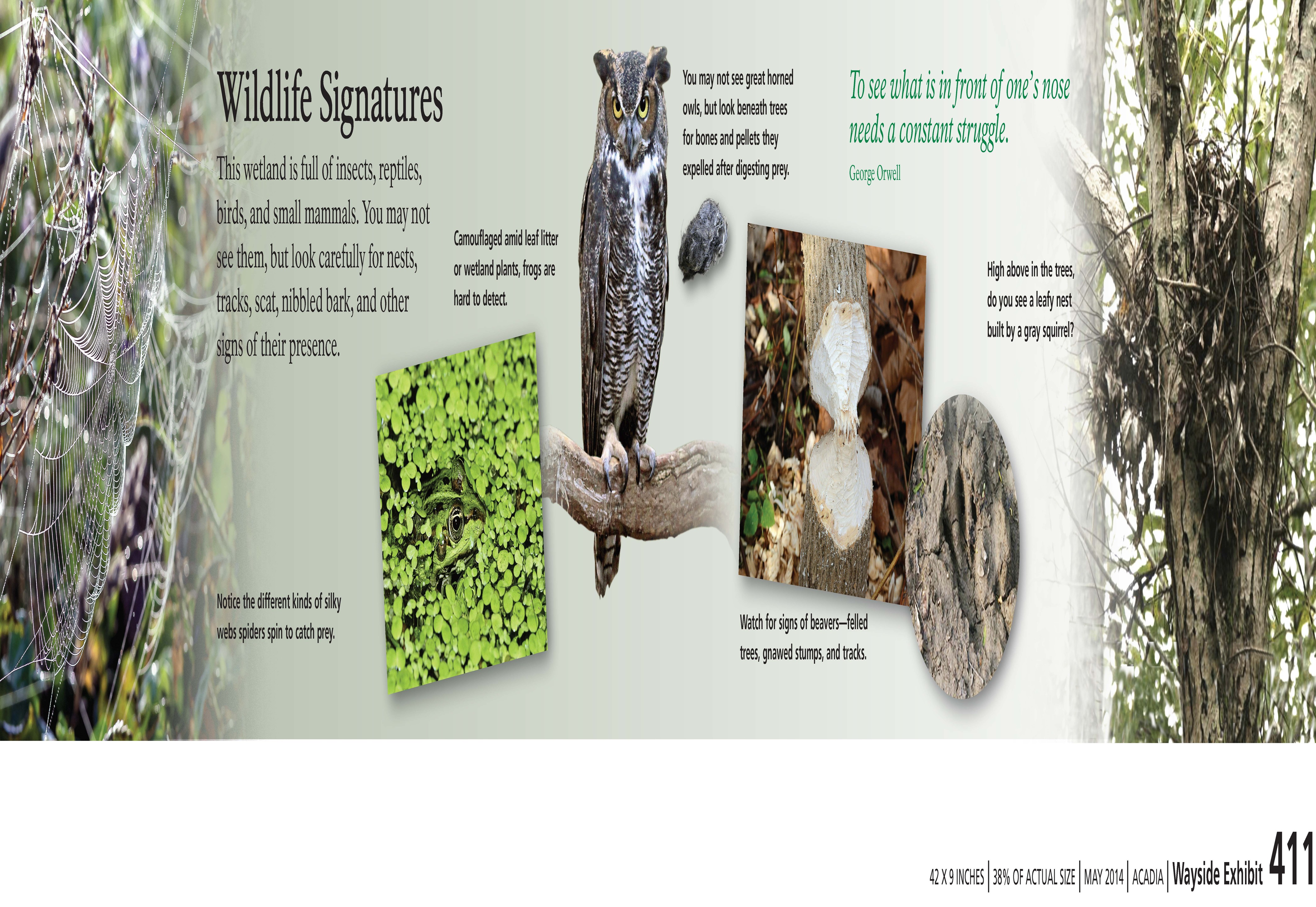 Title: Wildlife Signatures in bold with background images of an owl, a beaver chewed tree and other traces of widllife.