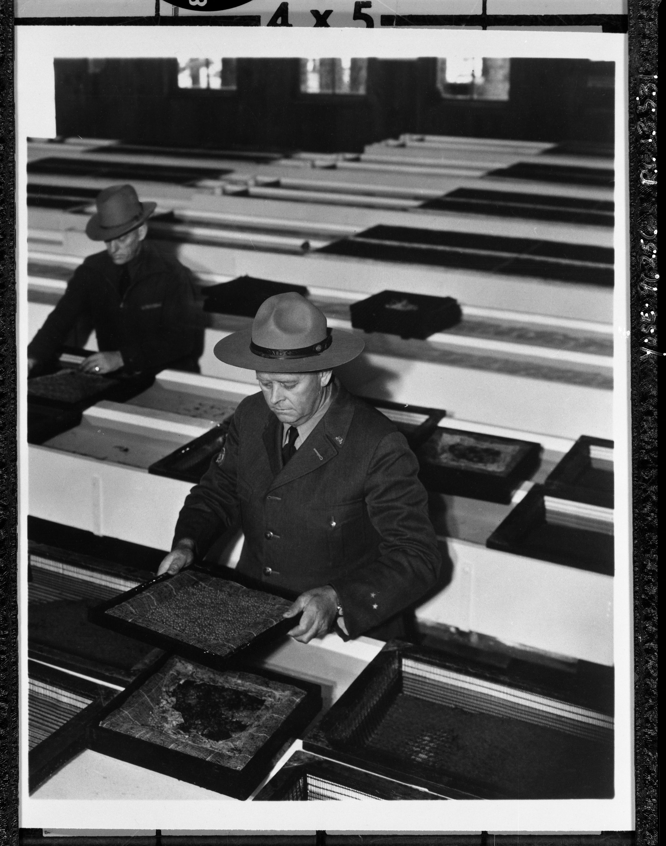 REYMANN, WILLIAM MORRIS, Yosemite Nat'l Park, January 17, 1952. Born July 15, 1883 at Granite Springs, Calif. Died January 1, 1938; buried in Mariposa, California. Served first as Power Station Operator 1919 and later as mechanic. Became park ranger in Yosemite July 1, 1928 where he served until his death. copied by Michael Dixon, copied January 1983