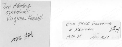 CCC in  Cuyahoga Valley National Park- Tree Planting