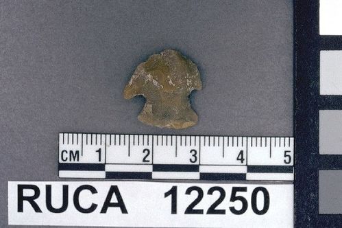 RUCA   12250 -- Point, Projectile