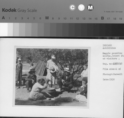 Maggie pounding acorns. Interested visitors.