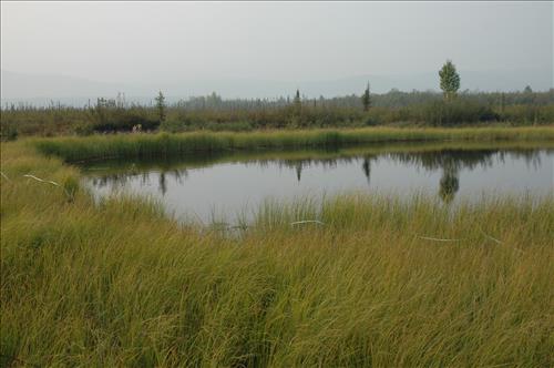 1 Water Quality Testing in Yukon-Charley Rivers National Preserve, August 2005