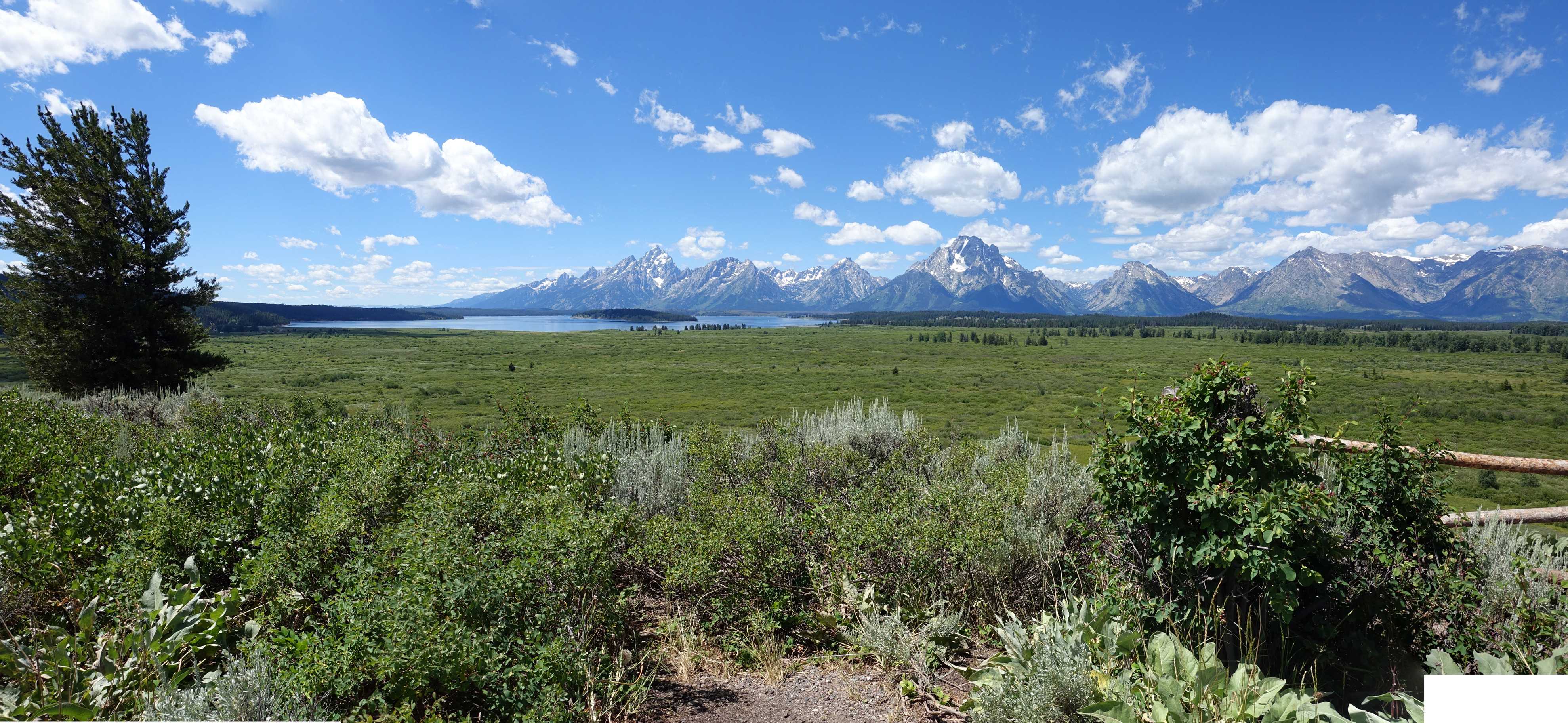 Landscape shot of the Grand Tetons.
