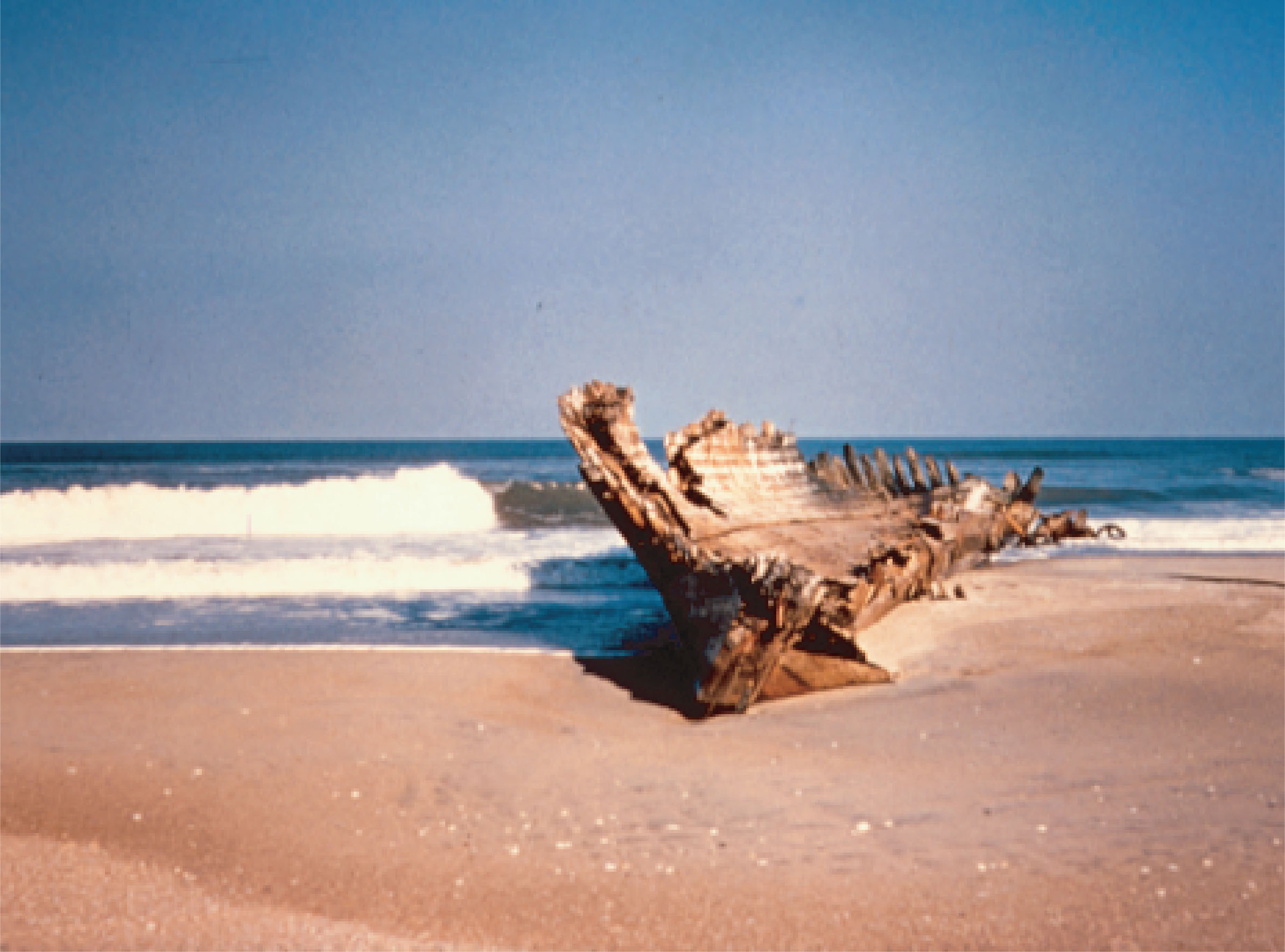 sandy beach with remnants of a ship