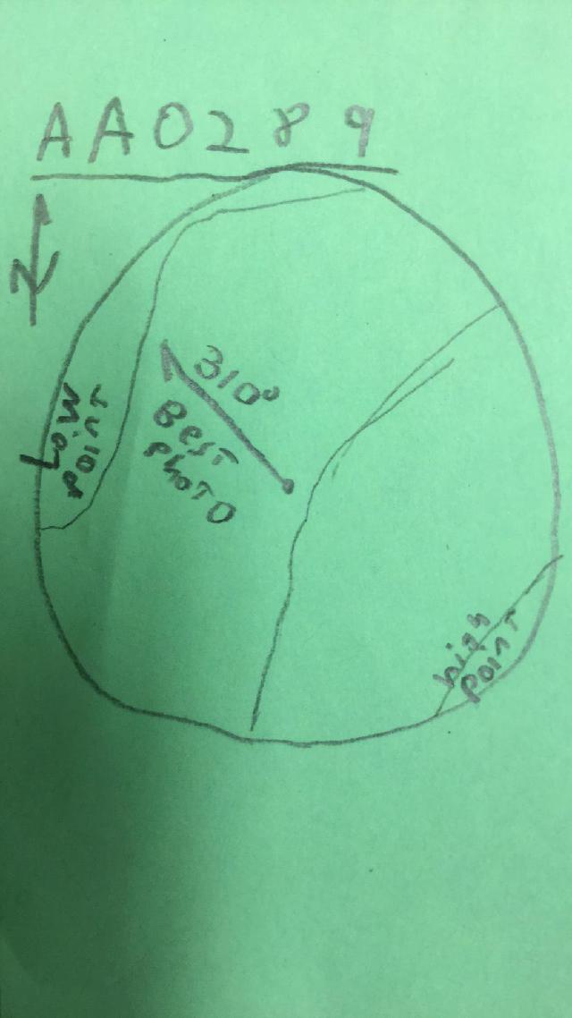 GRSM Accuracy Assessment. Plot Code: GRSM_AA_0289_map