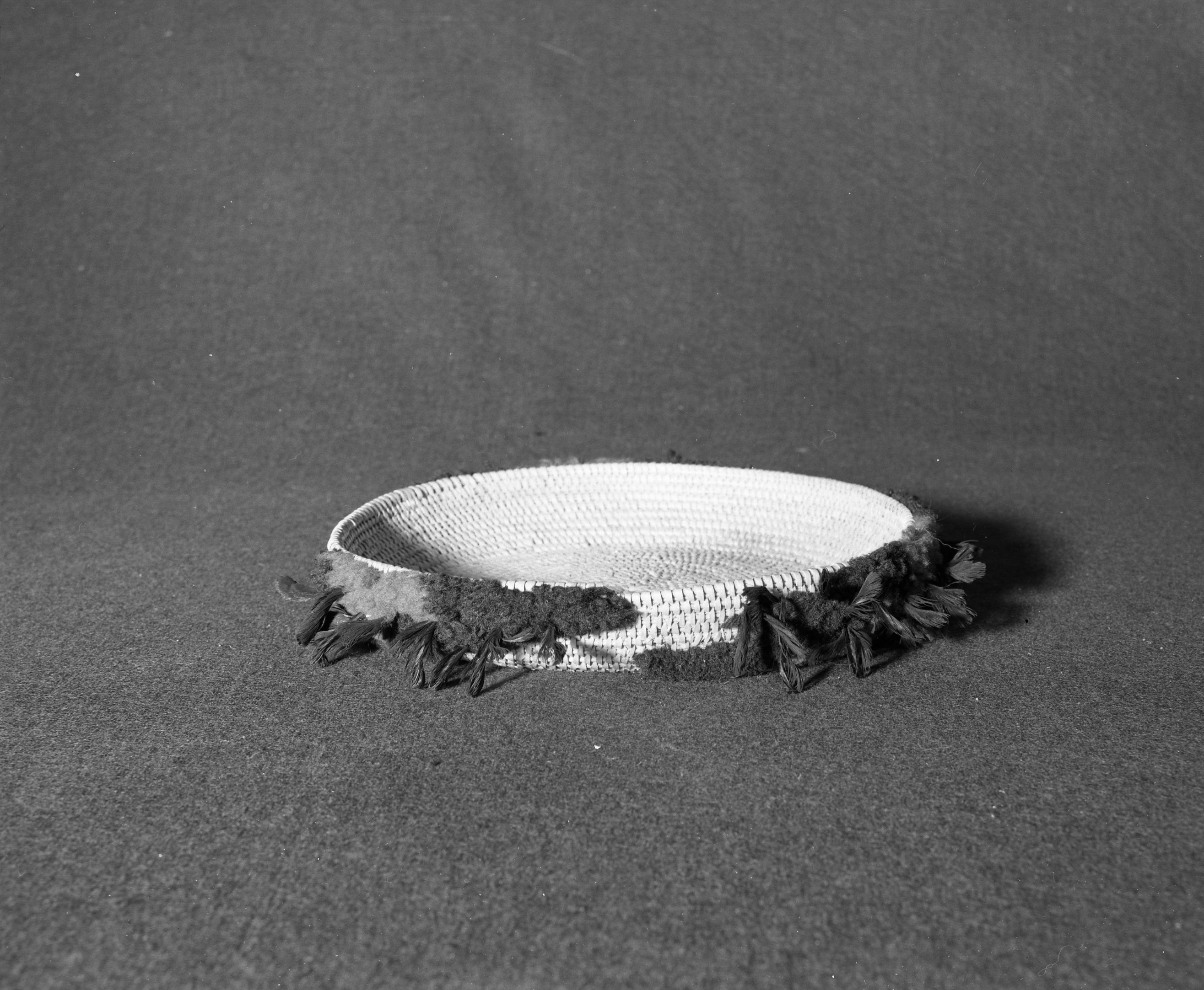 Marie Rozier Collection, Catalog No. 66. Object: Miwok decorated basket. Dimensions: 10" diameter x 1 1/2" height. Materials: Grass, split shoots, wool yarn, quail topknots. Technology: Single rod, rightward coil direction, fag ends trimmed on work face, moving ends trimmed on interior, interlocking stitch, clockspring start. Collection History: Once the property of Carmelita Ralph, sister of Mrs. Fuentes. Acquired from Dottie McDow. Photographed by Michael Dixon in December 1982. Catalogued by Craig Bates and Barbara Beroza. Yosemite Collections, National Park Service.